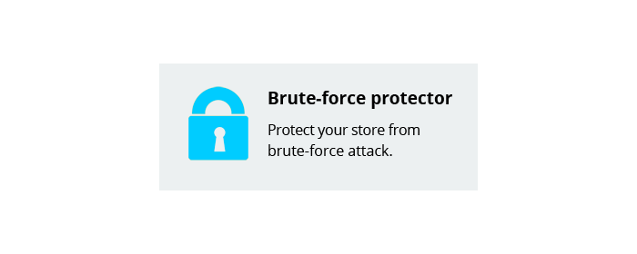 brute-force protector image