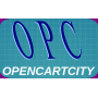 OPENCARTCITY SOFTWARE PRIVATE LIMITED